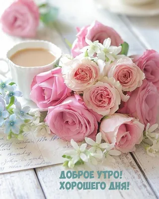 С добрым утром! Хорошего дня!☘️🌞🌼 | Счастливые картинки, Дождливое утро,  Поздравительные открытки