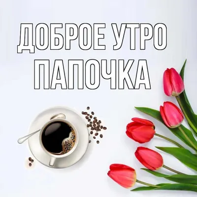 Доброе утро, папочка! | Rose, Plants, Flowers