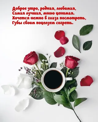 🌺🌿 ЯГОДКИ, ДОБРОЕ УТРО, ОТЛИЧНОГО ДНЯ! 🌿🌺 Доброе утро, леса и поля! Доброе  утро, родная земля! .. | ВКонтакте