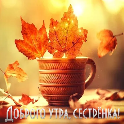 сестренка #доброеутро #пожелания #видео #открытка #сестра #сдобрымутр... |  TikTok