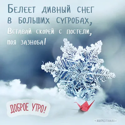 Доброе #утро, друзья и с первым снегом! Одевайтесь тепло и всем отличной  пятницы! http://krsk.kp.ru/online/news/1866508/ .. | ВКонтакте