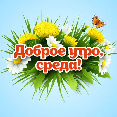 Доброе утро! Удачной среды! | Открытки, Доброе утро, Среда