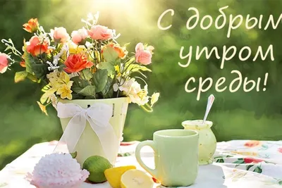 Открытки доброе утро среда удачной среды открытка с собакой и цвета...