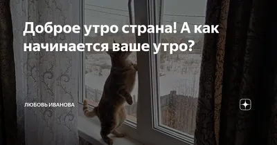 Доброе утро страна. Миру мир. :: Людмила Макарова – Социальная сеть ФотоКто