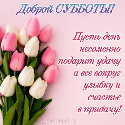 С добрым утром субботы! | Смешные открытки, Счастливые картинки, Веселые  картинки