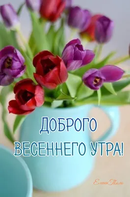 Доброе утро#Суббота#Весна#Хорошего дня#Отличного настроения# Моим друз... |  TikTok