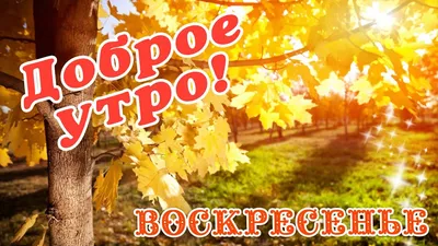 Картинки \"Доброго Утра Воскресенья!\" (150 шт.)