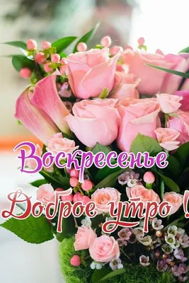 Картинки \"С Добрым утром воскресенья\" (50 штук)