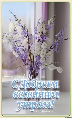 С добрым весенним утром!🌷☀️Солнечного дня! Красивая музыкальная открытка!  - YouTube