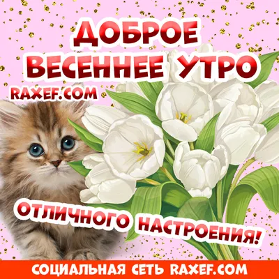 Открытки \"Доброго утра!\" весной (100+)