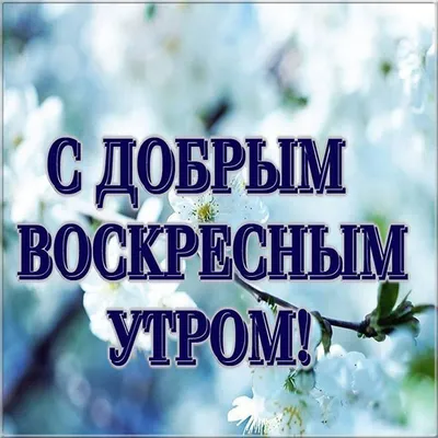 Доброе воскресное утро картинки и прикольные открытки