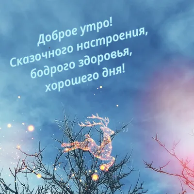 Доброе зимнее утро #утро #зима #позитив #топ #лучшее | TikTok