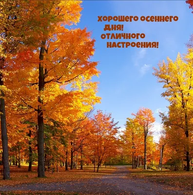 Красивые осенние картинки \"Хорошего дня!\" (286 шт.)