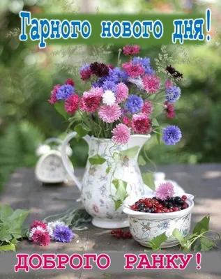 barva_home - Доброго ранку ❤️ гарного дня ❤️ | Facebook