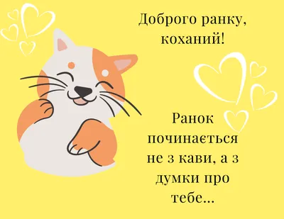 Pin by Соломія on Доброго ранку | Cats, Animals, Humor