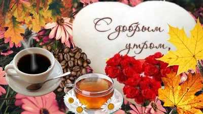 ДОБРОЕ УТРО! 🍁🍒🍫☕🍂🍎🍂☕🥧🍒🍁 Хорошего настроения в любую погоду!  🍁🍄🦔🍄🍁 | Утренние сообщения, Сообщения, Доброе утро