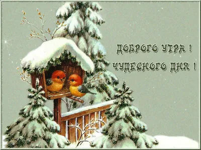 ❄️Доброе ☀️утро Друзья!❄️ | OK.RU | Праздничные открытки, Доброе утро,  Счастливые картинки