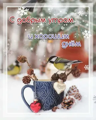 Идеи на тему «Доброе утро.Зима.» (200) | доброе утро, открытки, утренние  цитаты