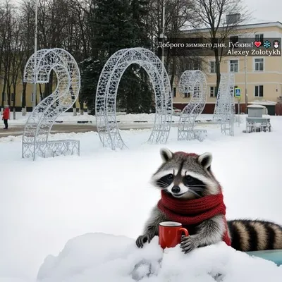 Картинки \"Доброго зимнего дня!\" (306 шт.)