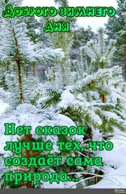 Доброго зимнего дня! Пусть сегодня все будет удаваться .