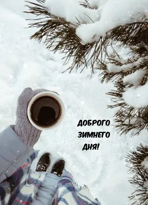 Открытка Доброго зимнего дня, Губкин!????❄☃