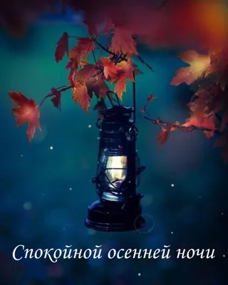 Елена | Доброй осенней ночи🍁❤️ | Дзен