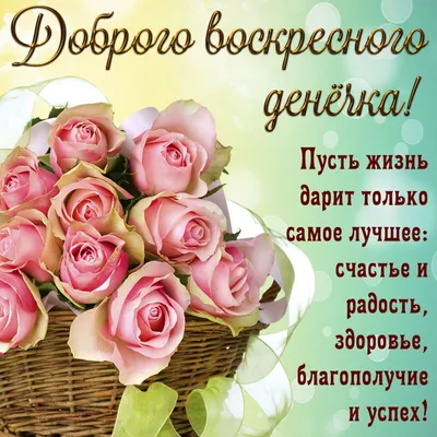 Добрый день, коллега! / рукопожатие крепкое :: Природа (красивые фото  природы: моря, озера, леса) :: зайцы / смешные картинки и другие приколы:  комиксы, гиф анимация, видео, лучший интеллектуальный юмор.