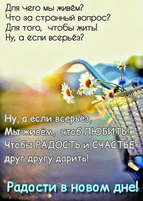 ДОБРЫЙ ДЕНЬ! 🦋🌼💐🌺🌿🌼🦋 ПОЖЕЛАНИЯ!