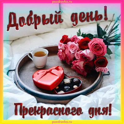 ДОБРЫЙ 🌸🍃🌺🌿🌸 ДЕНЬ ДРУЗЬЯ!