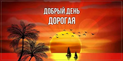 Открытки, картинки, гифки и пожелания доброго дня! Открытка Добрый день!  Картинка с красивым мишкой... | Страница 1