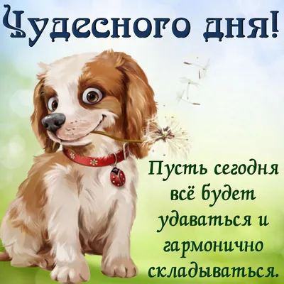 ДОБРЫЙ ДЕНЬ! 🦋🌼💐🌺🌿🌼🦋 ПОЖЕЛАНИЯ!