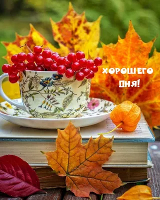 Добрый день осень картинки