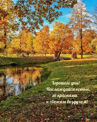 ОСЕНЬ! ДОБРЫЙ ДЕНЬ! 🍂🌹🍁🌹🍁🌹🍂 ПОЖЕЛАНИЯ для МОИХ ДРУЗЕЙ! | Открытки,  Доброе утро, Осень