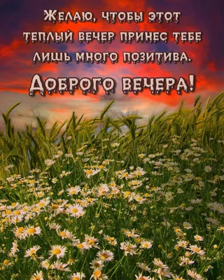 Pin by Gulnara on Добрый вечер, спокойной ночи. | Plants, Logo design,  Garden