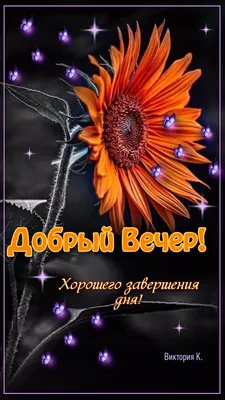 Добрый Вечер!🤗🌹 | Веселые картинки, Ночь, Закаты