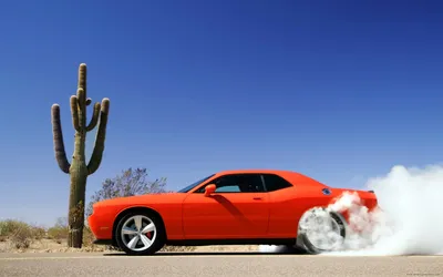 Mopar Dodge Challenger STR8 (2009) - picture 11 of 12