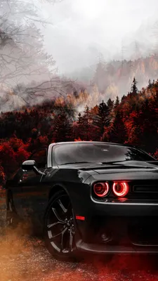 1080x1920 Dodge Challenger Wallpapers for Android Mobile Smartphone [Full  HD]