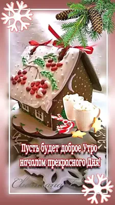 Доброе утро. Добрый день