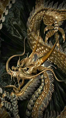 dragon | Dragon wallpaper iphone, Edgy wallpaper, Trippy wallpaper