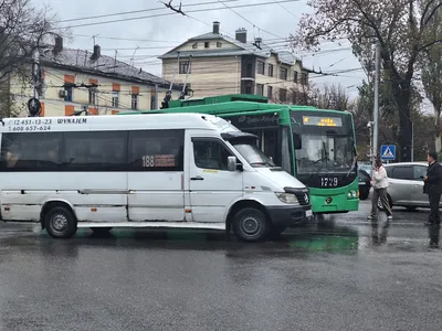 В Астрахани в ДТП с теленком пострадали женщина и ребенок