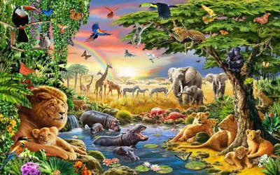 Jungle animals, Jungle animals pictures, Wildlife wallpaper