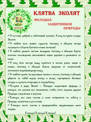 Победитель регионального этапа Всероссийского конкурса \"Эколята-Дошколята\"