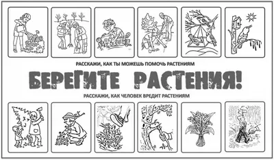 Экологический знак природы в картинках для учеников 2 класса