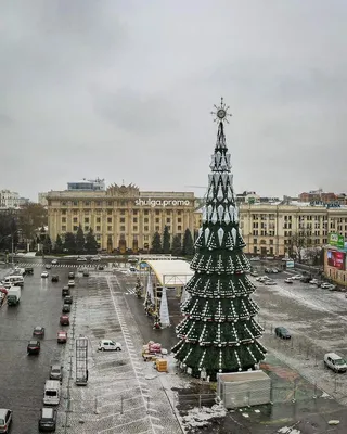 Заснеженная искусственная ёлка Аляска Премиум 230 см купить