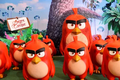 Angry Birds Free | Angry Birds Wiki | Fandom