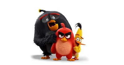 Angry birds Twitter got ratioed by.... Angry birds Facts. Take that bitch :  r/angrybirds