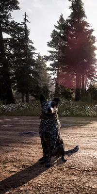 Far Cry 5 / Hello Doggy - Mobile Abyss