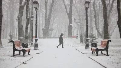 Картина \"Солнечный февраль\" Игорь Панов, купить в Москве | Картина  \"Солнечный февраль\" Игорь Панов по низкой цене 63 538 руб и с бесплатной  доставкой 🚚 в магазине BasicDecor