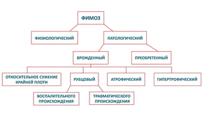 Фимоз - что это, как лечить, симптомы, диагностика, признаки, операция при  фимозе у мужчин