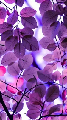 Эстетичные обои на телефон, фиолетовые💜 | Purple wallpaper phone, Dark  purple wallpaper, Pretty wallpapers backgrounds